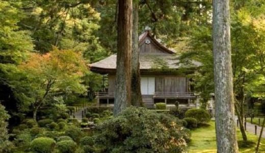 気まぐれ京都探訪⑨大原ー三千院２