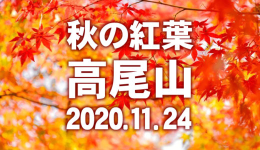 秋の紅葉・高尾山　2020.11.24.