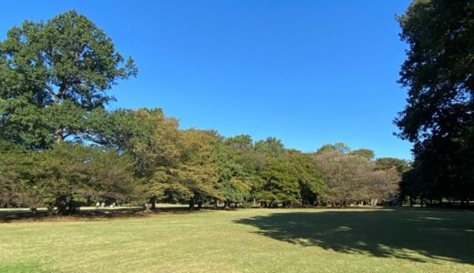 【街ぶら】秋の野川公園周辺