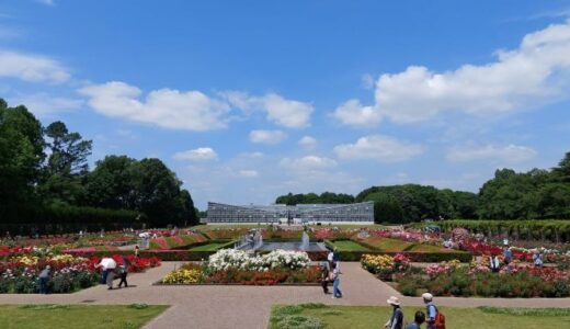 【散歩】バラフェスタ開催中の神代植物公園