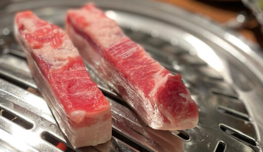 【お店】新大久保で人気の熟成肉の「サムギョプサル」動画