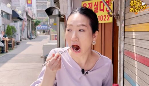【屋台】韓国맛집オタクの  乙支路の「チュックミ鍋」動画