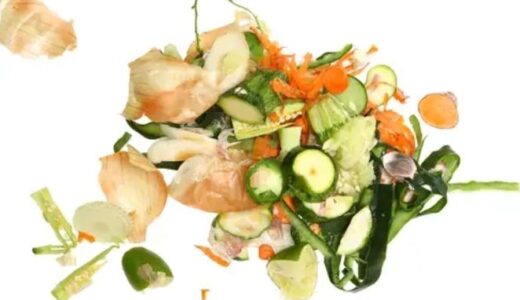 【雑学】野菜くずは捨てずに美味しく活用しよう！