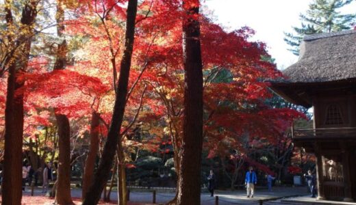【街ぶら】平林寺の紅葉