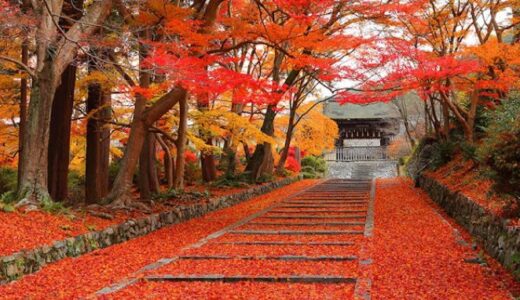 気まぐれ京都探訪⑭山科ー毘沙門堂