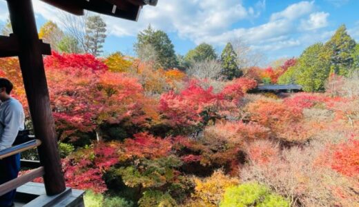 気まぐれ京都探訪⑯ー東福寺
