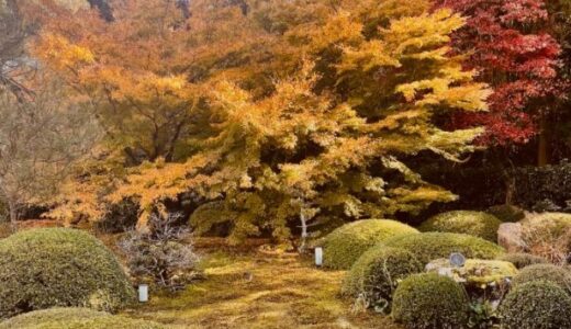 気まぐれ京都探訪⑮ー雲龍院