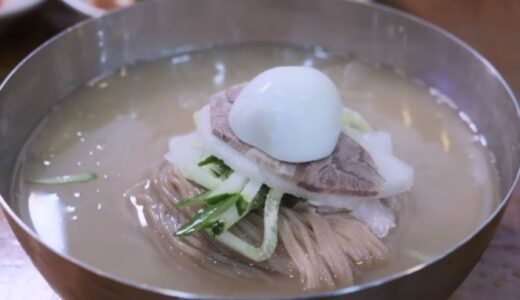 【お店】韓国맛집オタクの清涼里の「平壌冷麺」動画