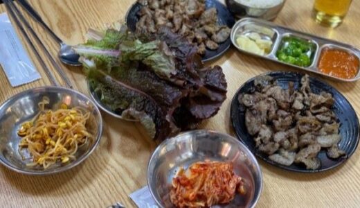 【お店】韓国맛집オタクの清涼里の「練炭プルコギ」動画