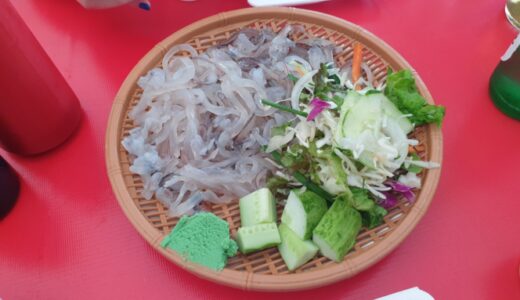 【お店】東海沖で獲れた鮮度抜群な「イカ料理」