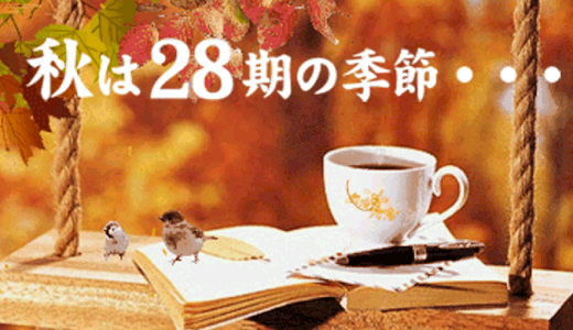 【ブログ】本格的な秋の到来～！