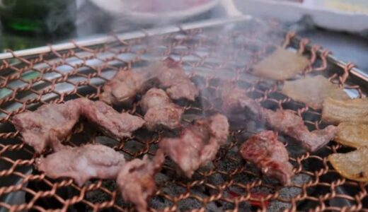 【お店】韓国맛집オタクの「オドルカルビ」動画