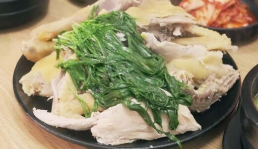【お店】韓国맛집オタクの今夜は鶏三昧で楽しむ「タッカンマリ」動画