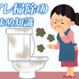 【雑学】トイレ掃除の盲点