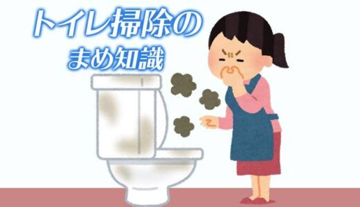 【雑学】トイレ掃除の盲点