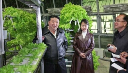 小学生の娘に「嚮導の偉大なる方」と表現する北朝鮮メディアの異常