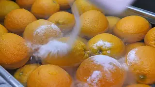 【屋台】フレッシュで新鮮な「フルーツジュースショップ」動画