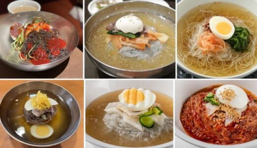 【おすすめ】この夏に食べたい韓国冷麺のうまい店