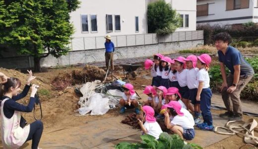 【学校だより】園外保育は“芋掘り体験”ー東京第6幼初級