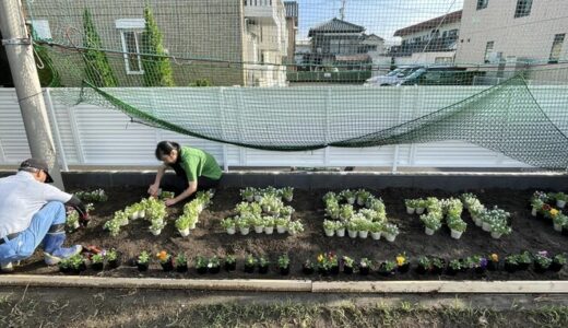 【学校だより】６０周年記念花壇ー静岡初中