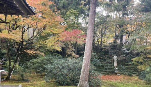 気まぐれ京都探訪ー番外編④