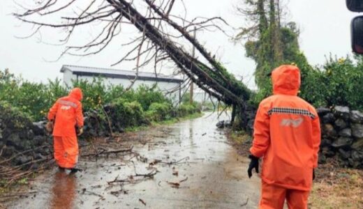 済州島は台風21号の影響で“200年に一度の豪雨”