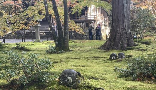 気まぐれ京都探訪ー番外編⑥