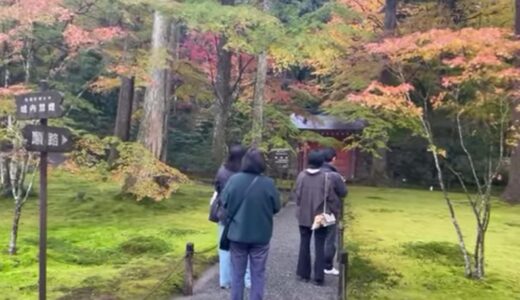 気まぐれ京都探訪ー番外編③