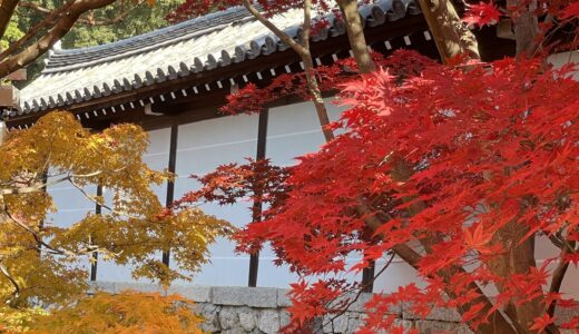 気まぐれ京都探訪ーリベンジ編④