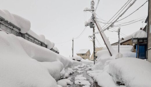 【投稿】雪まじヤバイ